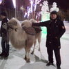 сергей, 49, г.Красноярск сергей, 49, г.Красноярск